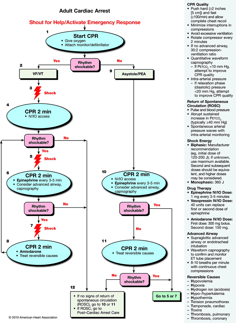 2010 AHA Cardiac Arrest Algorithm