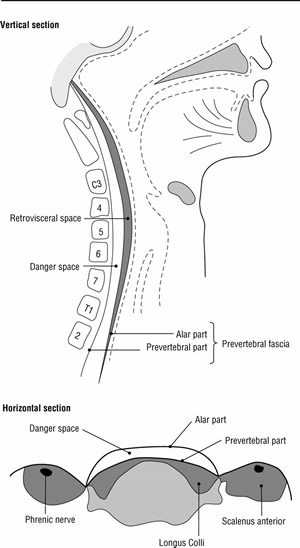 pharyngeal space